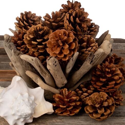 Cinnamon Pine Cones Scented - 1lb Pack Small Cinnamon Pinecones Decor - Rustic Christmas Decor - Mini Pinecones for Crafts - Small Pinecones - Pine Cone Ornaments - Small Pinecones for Crafts in Kuwait