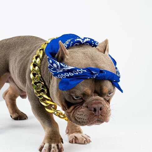 Dog Bandanas Headband and Gold Plated Dog Chain Collar Hip Hop Costume Accessories Set for Medium Large Dogs Chain Head Cover Apparel Party Cosplay in Kuwait