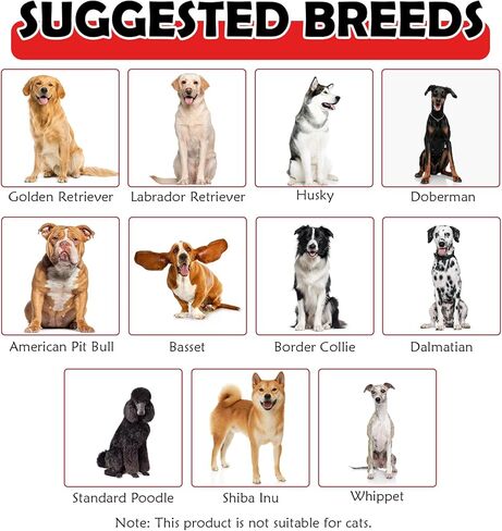 Dog Bandanas Headband and Gold Plated Dog Chain Collar Hip Hop Costume Accessories Set for Medium Large Dogs Chain Head Cover Apparel Party Cosplay in Kuwait