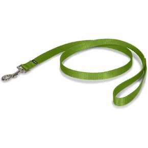 PetSafe Nylon Dog Leash – Strong, Durable, Traditional Style Leash with Easy to Use Bolt Snap – 3/4" x 6', Apple Green