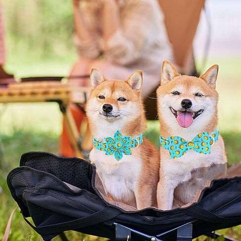 Lionheart Glory الكلب القوس طوق عيد الحب طوق الكلب للكلاب الصغيرة قلوب طباعة طوق الكلب مع ربطة العنق الربيع الكلب الياقات الحيوانات الأليفة طوق الأقواس الياقات لطيف in Kuwait