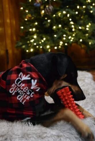 Holiday Plaid Dog Bandanas 3 Pack, Halloween Thanksgiving Christmas Scarf Set for Dogs in Saudi Arabia