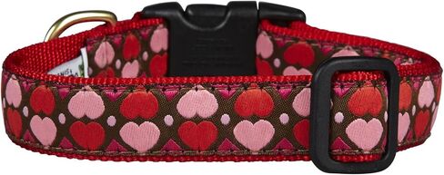 Up Country Valentine and Hearts Pattern Dog Collars and Leashes (All Hearts Dog Collar, Medium (12 to 18 Inches) 5/8 Inch Narrow Width) in Kuwait