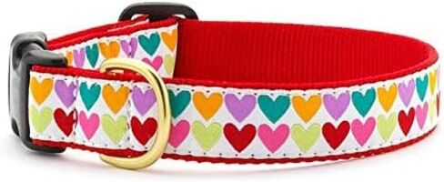 Up Country Valentine and Hearts Pattern Dog Collars and Leashes (All Hearts Dog Collar, Medium (12 to 18 Inches) 5/8 Inch Narrow Width) in Kuwait