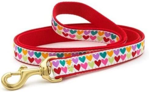 Up Country Valentine and Hearts Pattern Dog Collars and Leashes (All Hearts Dog Collar, Medium (12 to 18 Inches) 5/8 Inch Narrow Width) in Kuwait