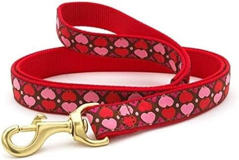 Up Country Valentine and Hearts Pattern Dog Collars and Leashes (All Hearts Dog Collar, Medium (12 to 18 Inches) 5/8 Inch Narrow Width) in Kuwait