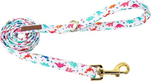 Patriotic Dog Leash Match 4th of July Dog Collar, Sturdy Durable 4th of July Cotton Dog Leash, American Flag Dog Training Leash for Small Medium Large Dog in Saudi Arabia