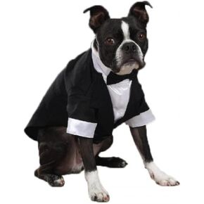 "Yaptily Ever After" Tuxedo Groom للكلاب ، 12 "صغيرة