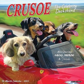 Willow Creek Press Crusoe the Celebrity Dachshund Monthly 2025 Wall Calendar (12" x 12")