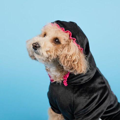 Doggy Parton Sparkle Butterfly Track Suit - M in Saudi Arabia