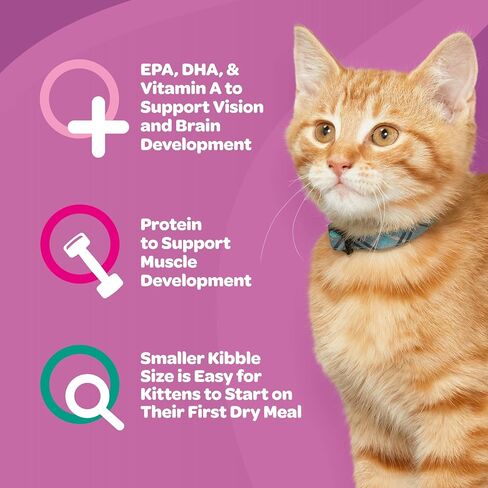 9Lives Daily Essentials طعام القطط الجاف مع نكهات الدجاج ولحم البقر وسلمون ، حقيبة 20 رطل in Kuwait