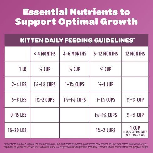 9Lives Daily Essentials طعام القطط الجاف مع نكهات الدجاج ولحم البقر وسلمون ، حقيبة 20 رطل in Kuwait