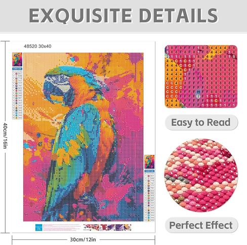 TZTTZT Diamond Art Kits for Adults, Feathered Wolf in Window Round 5D Diamond Painting Kits for Adults Beginners, Frameless Diamond Painting Craft Paint by Diamonds for Home Wall Decor 12x16 Inch in Saudi Arabia