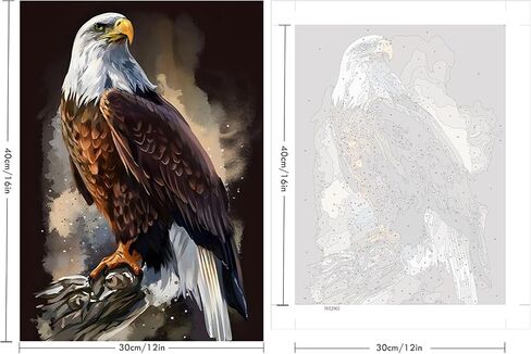 SENQAO Eagle Paint by Number for Adults Framed Canvas, DIY Arts and Crafts for Adults Beginner with Wooden Easel, Paint Brushes, Acrylic Paint Set for Home Wall Decor 12x16inch in Saudi Arabia