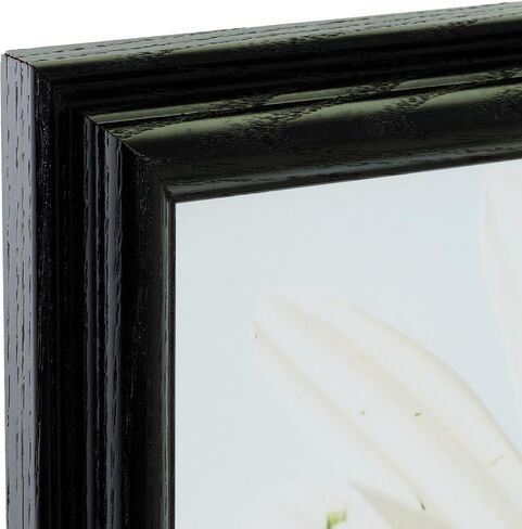 Craig Frames 130ASHBK 19 by 26-Inch Picture Frame, Wood Grain Finish, 1-Inch Wide, Black in Saudi Arabia