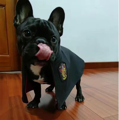 Aniac 3pcs Halloween Dog Costume Cat Wizard Cape Glasses and Necktie Stet Halloween Puppy Outfit Pet Magician Cosplay Apparel for Hitten Cat Small Dog (Medium ، Black) in Kuwait