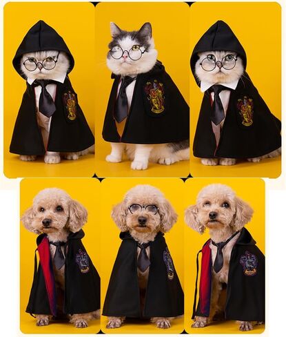 Aniac 3pcs Halloween Dog Costume Cat Wizard Cape Glasses and Necktie Stet Halloween Puppy Outfit Pet Magician Cosplay Apparel for Hitten Cat Small Dog (Medium ، Black) in Kuwait