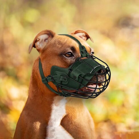 OOPSDOGGY Metal Pitbull Dog Muzzle Leather Leather Leather Scaze Secure Cazzle للكلاب الكبيرة الحجم Amstaff Soft Cage Mazzle لمنع مضغ العض بأشرطة قابلة للتعديل (أسود ، بيتبول) in Kuwait