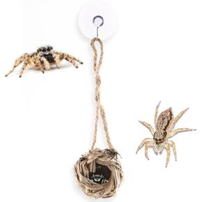 Jumping Spider Hide Natural Hand-Woven Grass Nest Jumping Spider Habitat Spider Enclosure Accessories with String and Suction Cup