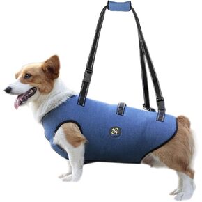 Coodeo Dog Lift Harness, Pet Support & Rehabilitation Sling Lift Adjustable Padded Breathable Straps for Old, Disabled, Joint Injuries, Arthritis, Loss of Stability Dogs Walk (Blue, L)