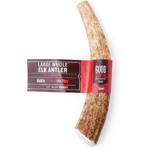 Good Lovin' Naturally Shed Large Whole Elk Antler Dog Chew