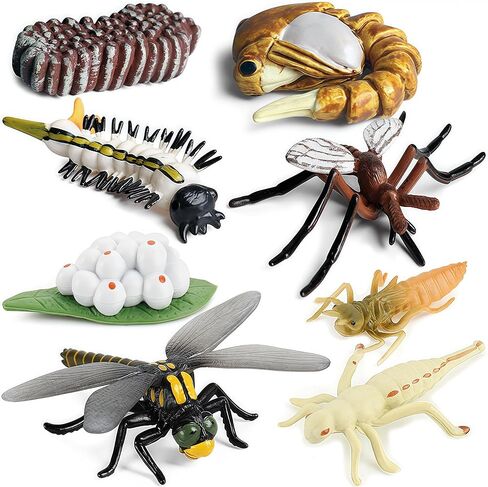 Gemini&Genius Life Cycle of Frog Figurines, Bulk Insect Growth Diary Action Figures, Super Fun for Learning Gifts, Party Favors, Treasure Box Prizes, Goodie Bag Fillers, Family Fun in Saudi Arabia