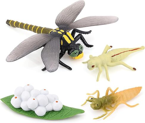 Gemini&Genius Life Cycle of Frog Figurines, Bulk Insect Growth Diary Action Figures, Super Fun for Learning Gifts, Party Favors, Treasure Box Prizes, Goodie Bag Fillers, Family Fun in Saudi Arabia