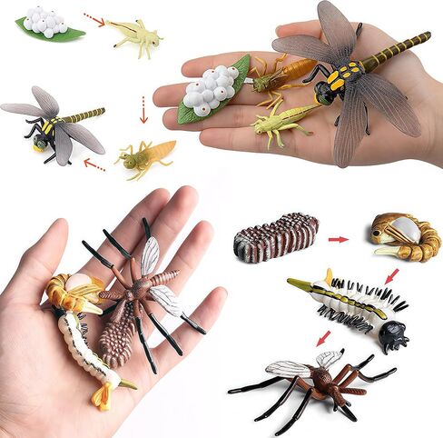Gemini&Genius Life Cycle of Frog Figurines, Bulk Insect Growth Diary Action Figures, Super Fun for Learning Gifts, Party Favors, Treasure Box Prizes, Goodie Bag Fillers, Family Fun in Saudi Arabia