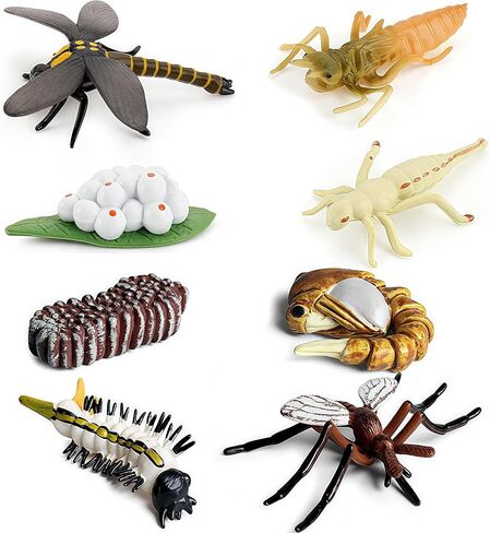 Gemini&Genius Life Cycle of Frog Figurines, Bulk Insect Growth Diary Action Figures, Super Fun for Learning Gifts, Party Favors, Treasure Box Prizes, Goodie Bag Fillers, Family Fun in Saudi Arabia