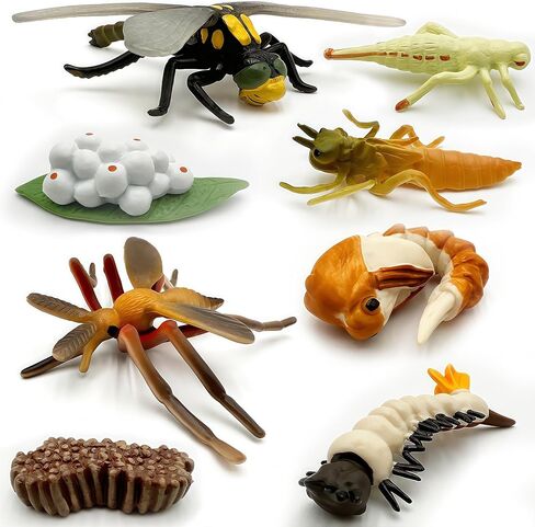 Gemini&Genius Life Cycle of Frog Figurines, Bulk Insect Growth Diary Action Figures, Super Fun for Learning Gifts, Party Favors, Treasure Box Prizes, Goodie Bag Fillers, Family Fun in Saudi Arabia