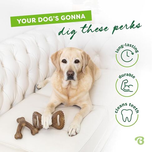 Benebone 2-Pack Wishbone/Dental Durable Dog Chew Toys, Real Bacon, Made in USA, Large in Saudi Arabia