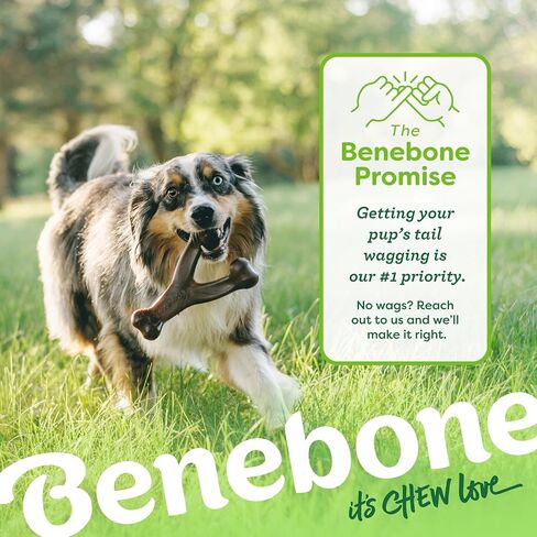 Benebone 2-Pack Wishbone/Dental Durable Dog Chew Toys, Real Bacon, Made in USA, Large in Saudi Arabia