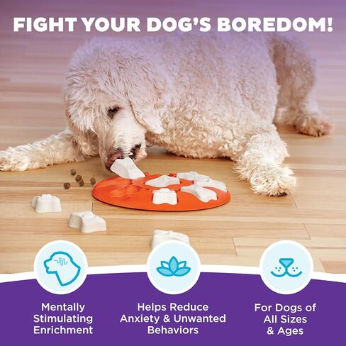 Hound Outward by Nina Ottosson Dog Smart Treat Trear Thickment Thickment ، المستوى الأول المبتدئين ، البرتقالي in Saudi Arabia