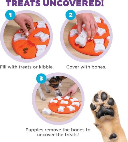 Hound Outward by Nina Ottosson Dog Smart Treat Trear Thickment Thickment ، المستوى الأول المبتدئين ، البرتقالي in Saudi Arabia