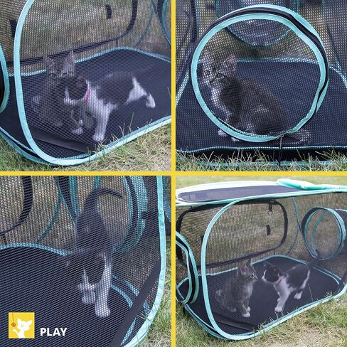 Kitty City Outdoor Catio Furniture and Play Kits for Cats, Outdoor Kennel in Saudi Arabia