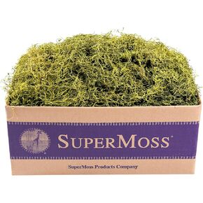 SuperMoss (27012) Spanish Moss Preserved, Chartreuse, 3lbs