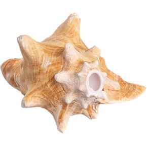 Nautical Crush Trading Conch Shell Decor - Seashell Decor - 6-8" Large Conch Shell Horn - Shells for Decoration - Large Seashells - Blowing Horn - Magic Conch Shell Room Décor