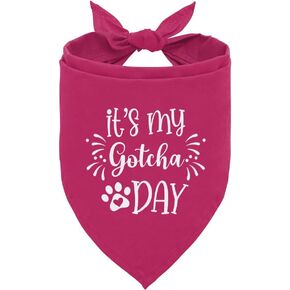 إنه My Gotcha Day Dog Bandana ، Bandana Dog ، Purple Pet Dog Accedories ، Pet Dog Triangle Dicf ، Funny Cute Dog Bandana ، Dog Bandana for Small Mediance Dogs ، Dog Bandana Pet Dicf (M)