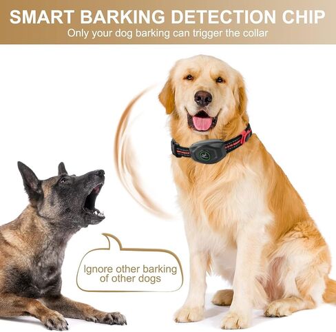 Dog Training Collar - 2 in 1 Rechargeable Remote Dog Shock Anti-Bark Collar w/3 Training Modes, Beep, Vibration, Shock 100% Waterproof, Up 1300Ft Range for Small Medium Large Dogs (Black + Orange) in Saudi Arabia