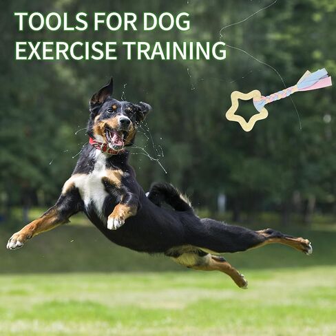 6 PCS Puppy Chew Toys for Teething Small Breed, Puppy Teething Ring, Soft Rubber Durable Dog Teething Toys, Rope Dog Toys, Funny Interactive Toy, Puppy Toys for Small Puppies, Dog Toys Set (Style 3) in Kuwait
