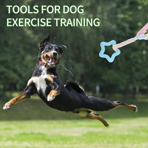 6 PCS Puppy Chew Toys for Teething Small Breed, Puppy Teething Ring, Soft Rubber Durable Dog Teething Toys, Rope Dog Toys, Funny Interactive Toy, Puppy Toys for Small Puppies, Dog Toys Set (Style 3) in Kuwait