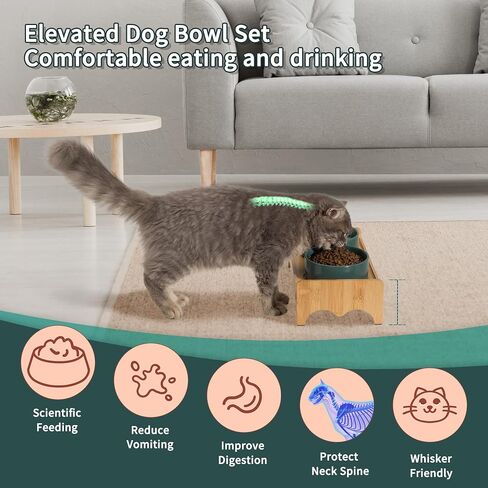 Elevated Ceramic Dog Bowl Set - Double Dog Bowls with Bamboo Stand Anti Vomiting - Raised Dog Food and Water Bowl Set - Dog Feeding Bowls - Fit for Small and Medium Sized Dogs - 28.74 OZ - 3.6 Cups in Saudi Arabia