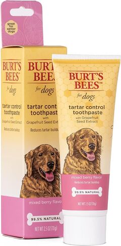 Burt's Bees for Pets Tartar Control Toothpaste for Dogs with Grapefruit Seed Extract - 99.5 % Naturally Derived Dog Toothpaste for Tartar Control in Mixed Berry Flavor, 2.5 Oz in Saudi Arabia