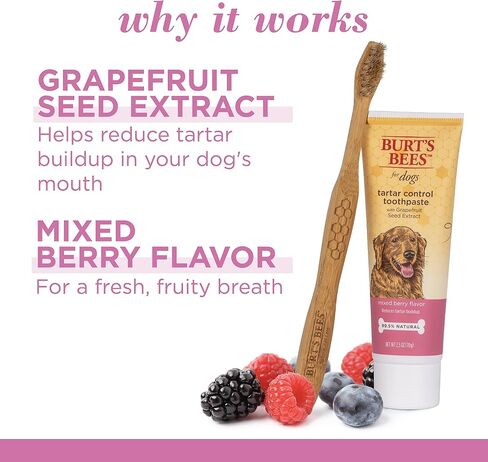 Burt's Bees for Pets Tartar Control Toothpaste for Dogs with Grapefruit Seed Extract - 99.5 % Naturally Derived Dog Toothpaste for Tartar Control in Mixed Berry Flavor, 2.5 Oz in Saudi Arabia