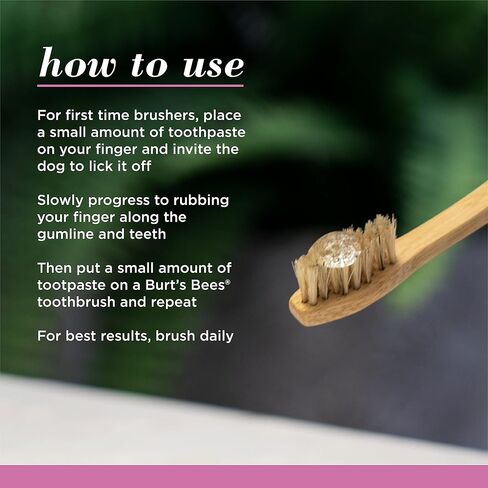Burt's Bees for Pets Tartar Control Toothpaste for Dogs with Grapefruit Seed Extract - 99.5 % Naturally Derived Dog Toothpaste for Tartar Control in Mixed Berry Flavor, 2.5 Oz in Saudi Arabia