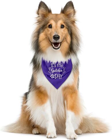 It's My Gotcha Day Dog Bandana, Dog Bandana, Purple Pet Dog Scarf Accessories, Pet Dog Triangle Scarf, Funny Cute Dog Bandana, Dog Bandana for Small Medium Dogs, Dog Bandana Pet Scarf (M) in Kuwait