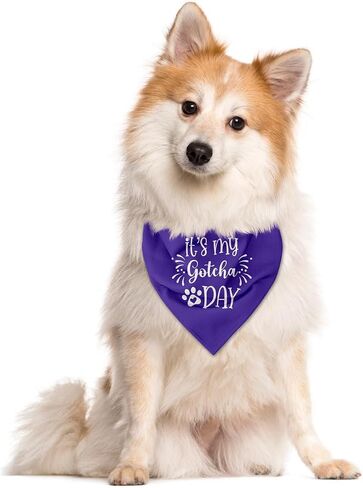 It's My Gotcha Day Dog Bandana, Dog Bandana, Purple Pet Dog Scarf Accessories, Pet Dog Triangle Scarf, Funny Cute Dog Bandana, Dog Bandana for Small Medium Dogs, Dog Bandana Pet Scarf (M) in Kuwait