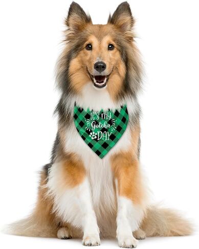 It's My Gotcha Day Dog Bandana, Dog Bandana, Purple Pet Dog Scarf Accessories, Pet Dog Triangle Scarf, Funny Cute Dog Bandana, Dog Bandana for Small Medium Dogs, Dog Bandana Pet Scarf (M) in Kuwait