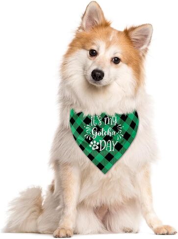 It's My Gotcha Day Dog Bandana, Dog Bandana, Purple Pet Dog Scarf Accessories, Pet Dog Triangle Scarf, Funny Cute Dog Bandana, Dog Bandana for Small Medium Dogs, Dog Bandana Pet Scarf (M) in Kuwait