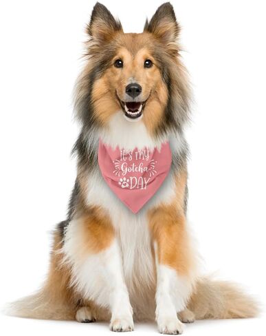 It's My Gotcha Day Dog Bandana, Dog Bandana, Purple Pet Dog Scarf Accessories, Pet Dog Triangle Scarf, Funny Cute Dog Bandana, Dog Bandana for Small Medium Dogs, Dog Bandana Pet Scarf (M) in Kuwait